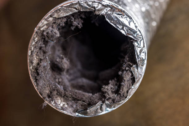 Best Air Duct Sanitizing Services  in Davie, FL